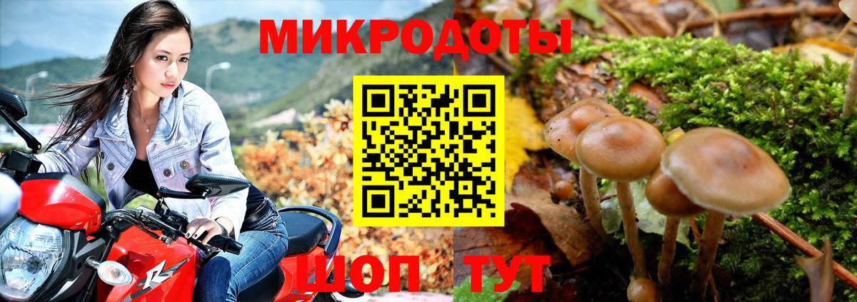 Псилоцибиновые грибы мицелий Урюпинск