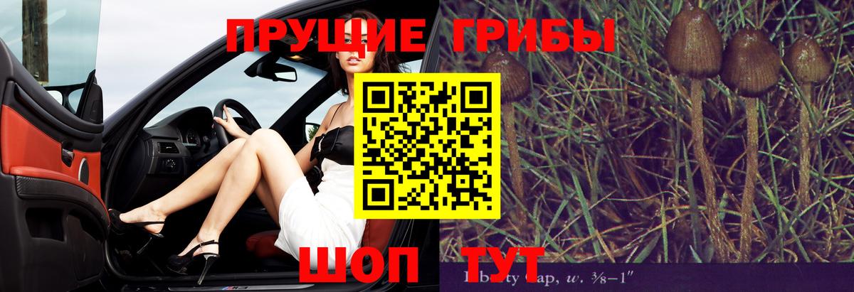 Псилоцибиновые грибы прущие грибы  Галлюциногенные грибы Magic Shrooms  хочу   Урюпинск  Вход с VPN 